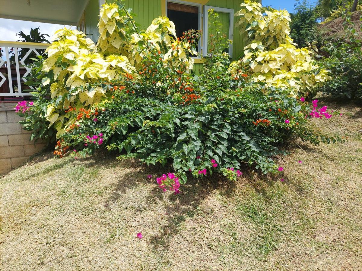Diamond View Cottages Розо Екстер'єр фото